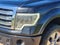 2014 Ford F-150 Platinum