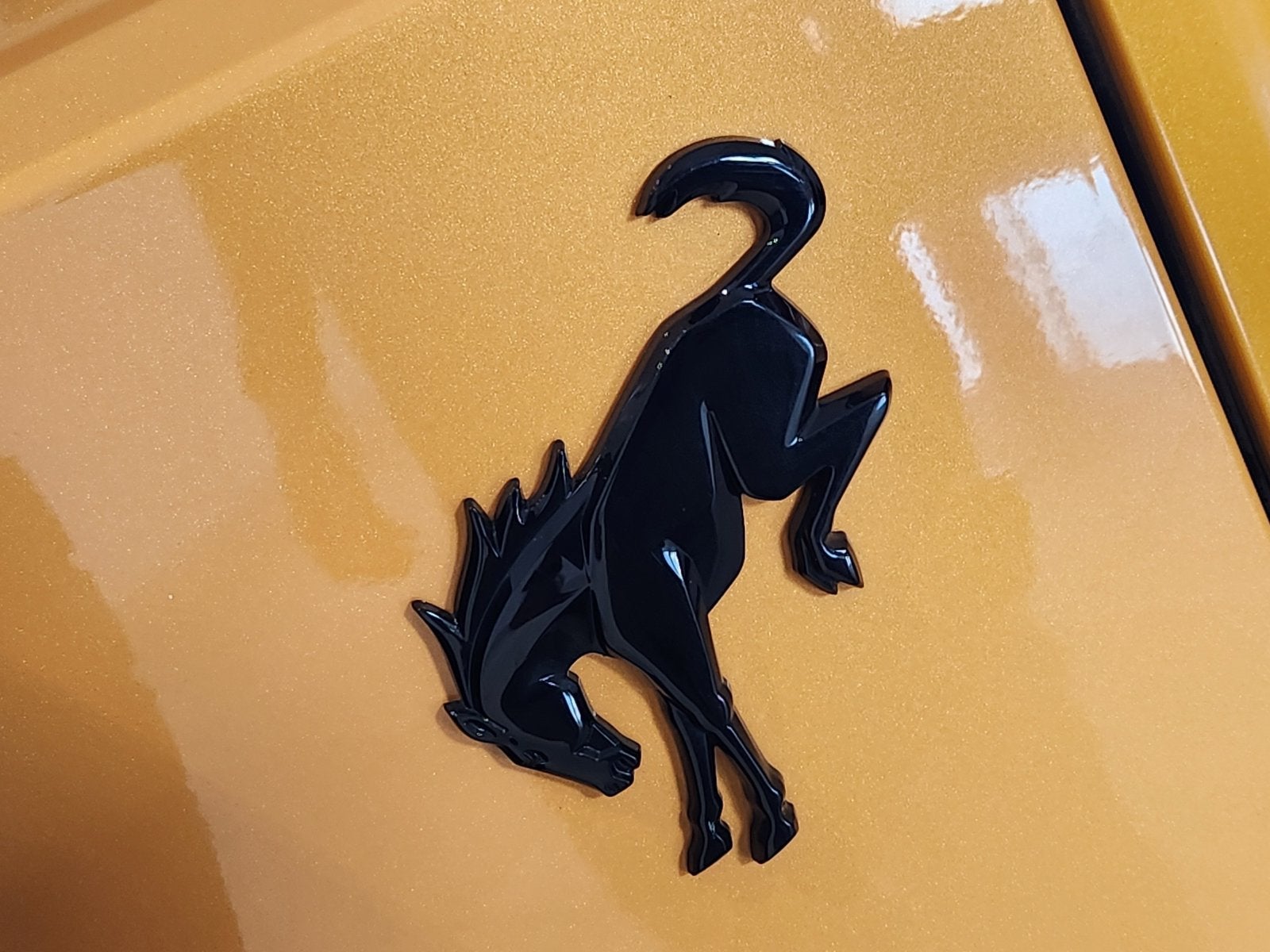 2021 Ford Bronco First Edition